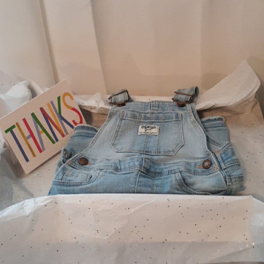 Jean jumped dress 18 months